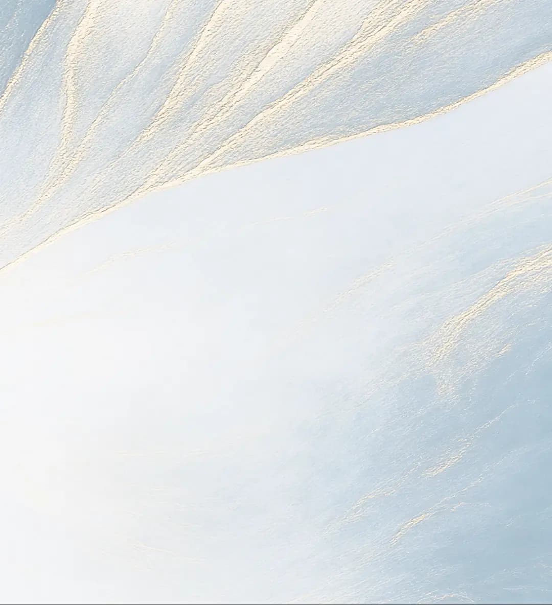 Registration background